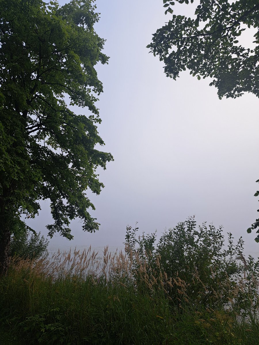 this morning was an unlocked level