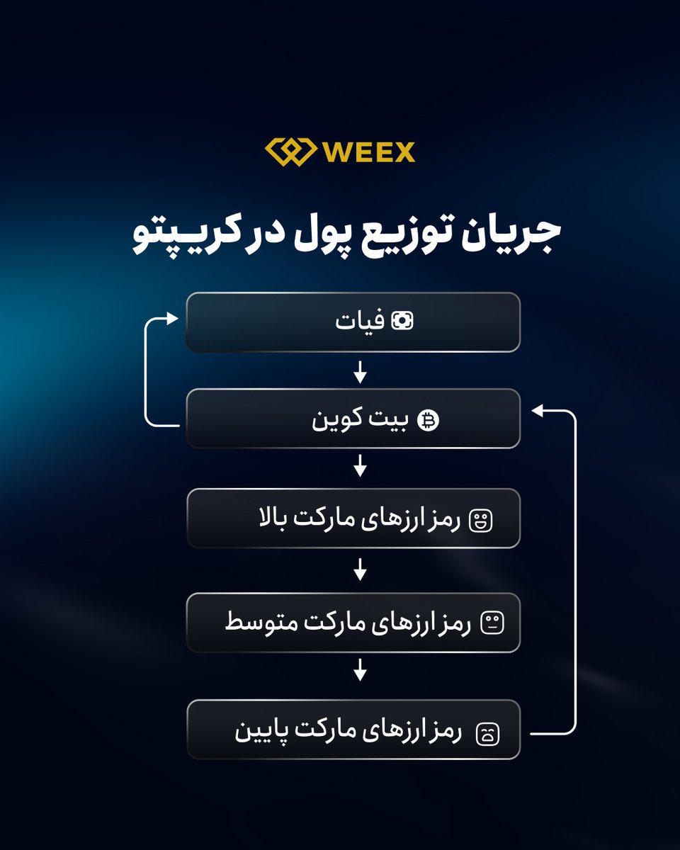 💸 جریان پول؛ قلب تپنده بازار کریپتو
وقتی می‌بینی سرمایه از یک کوین به کوین دیگه منتقل میشه، یعنی داستانی پشت پرده داره... 📊

رد پول رو بگیر، قبل از اینکه بازار جهتش رو عوض کنه! 🚀

این تصویر چرخه‌ی کلاسیک «جریان پول در کریپتو» رو نشون می‌ده.
به زبان ساده، میگه پول معمولاً در