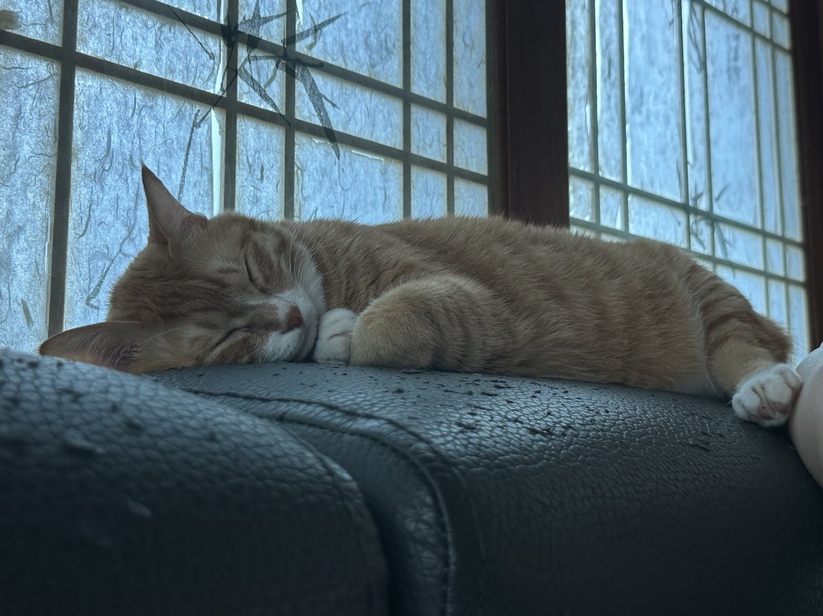 드르렁