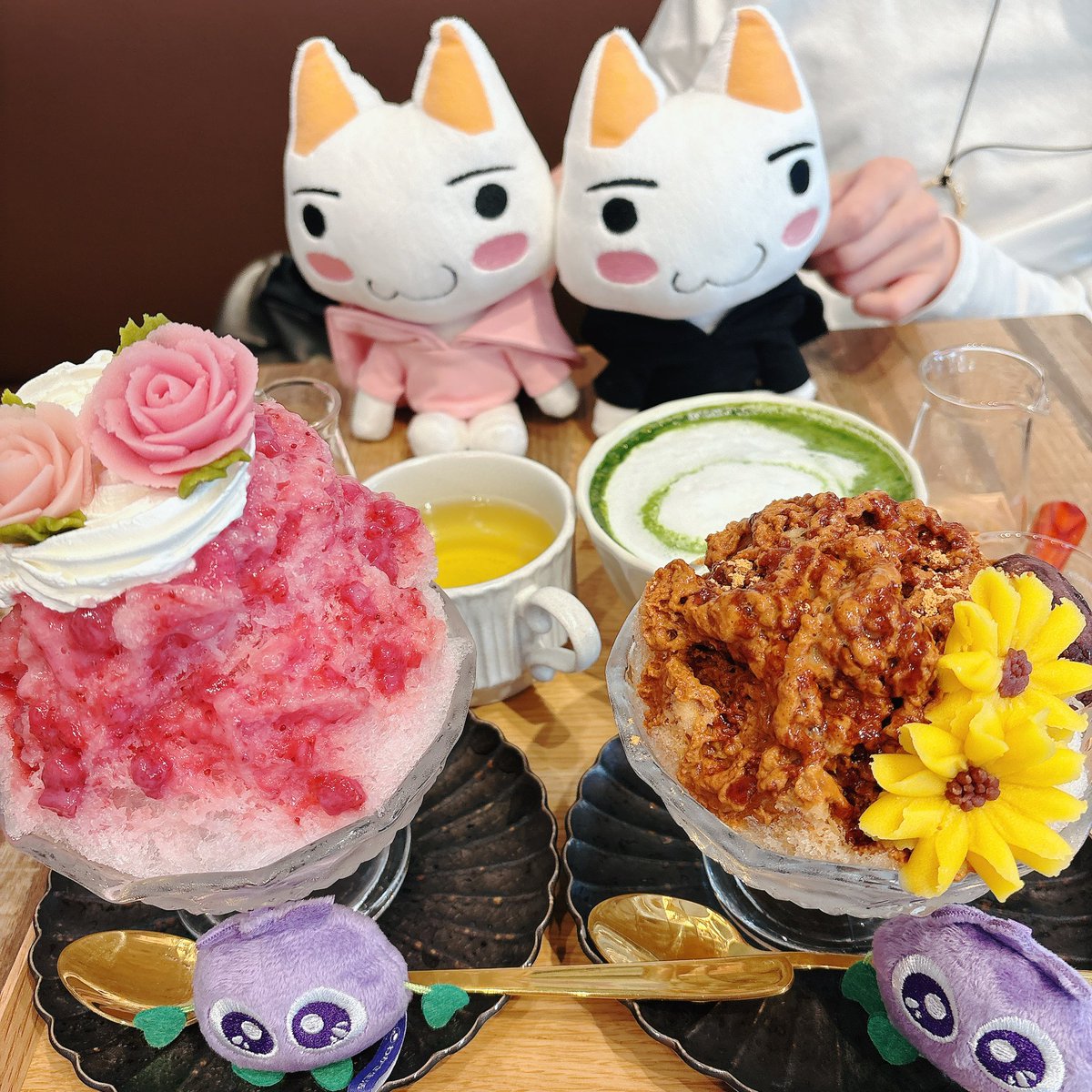 おはぎ屋さんに行ってきたニャ！
今日はブルブルくんも一緒！
カキ氷…上に練り切りのお花が乗ってたニャ！
とっても可愛くておいしいニャ〜( ⸝⸝⸝ ˊ ᵕ ˋ⸝⸝⸝)♡
寒くなるかもって思って温かい飲み物頼んで良かったけどニャ！
トロかしこいニャ！

#どこでもいっしょ 
#ブルブルくん