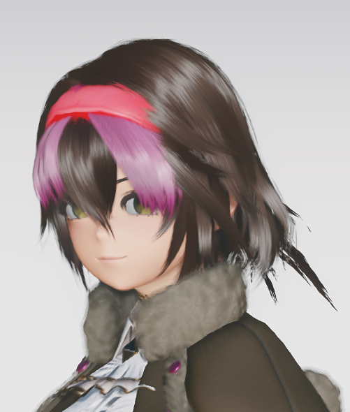 NGSでどどちゃ再現チャレンジ