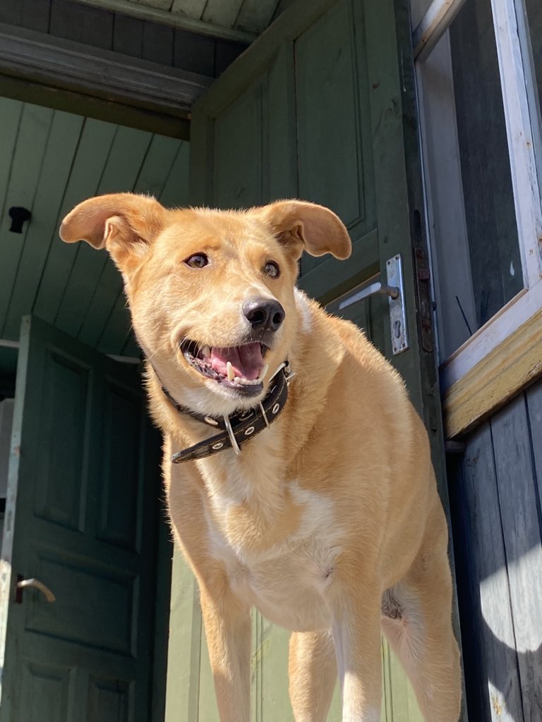 Искра✨ (@sparrrkl) on Twitter photo 