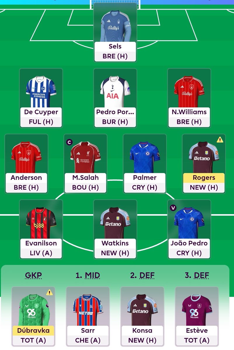 FPL Gold Fish- Yaniv Salomon tweet media