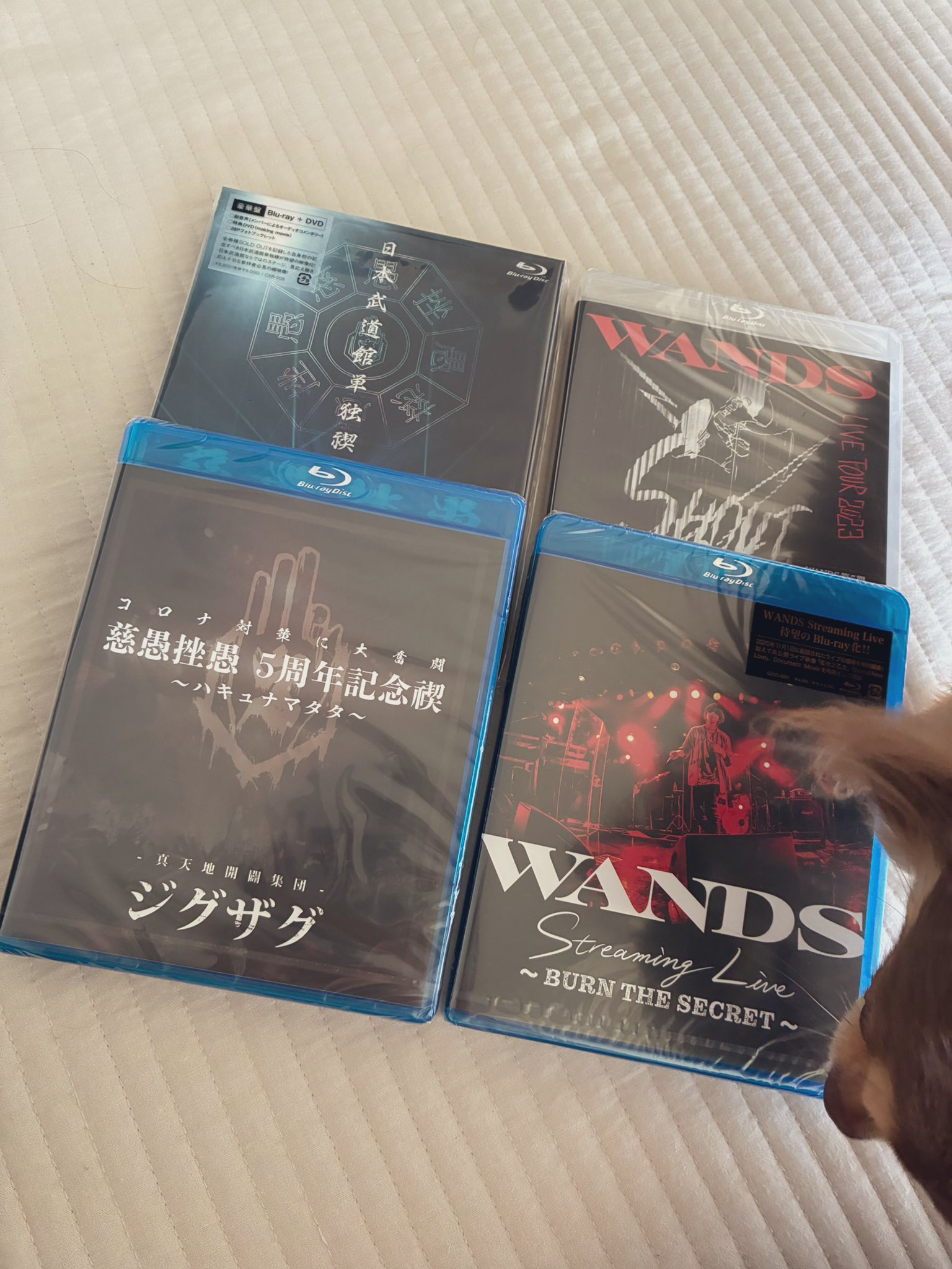 真天地開闢集団ジグザグ　新品　レア！非売品セット！　WANDS Amazon.co.jp: 真天地開闢集団 ジグザグ フライヤー ジグザグ