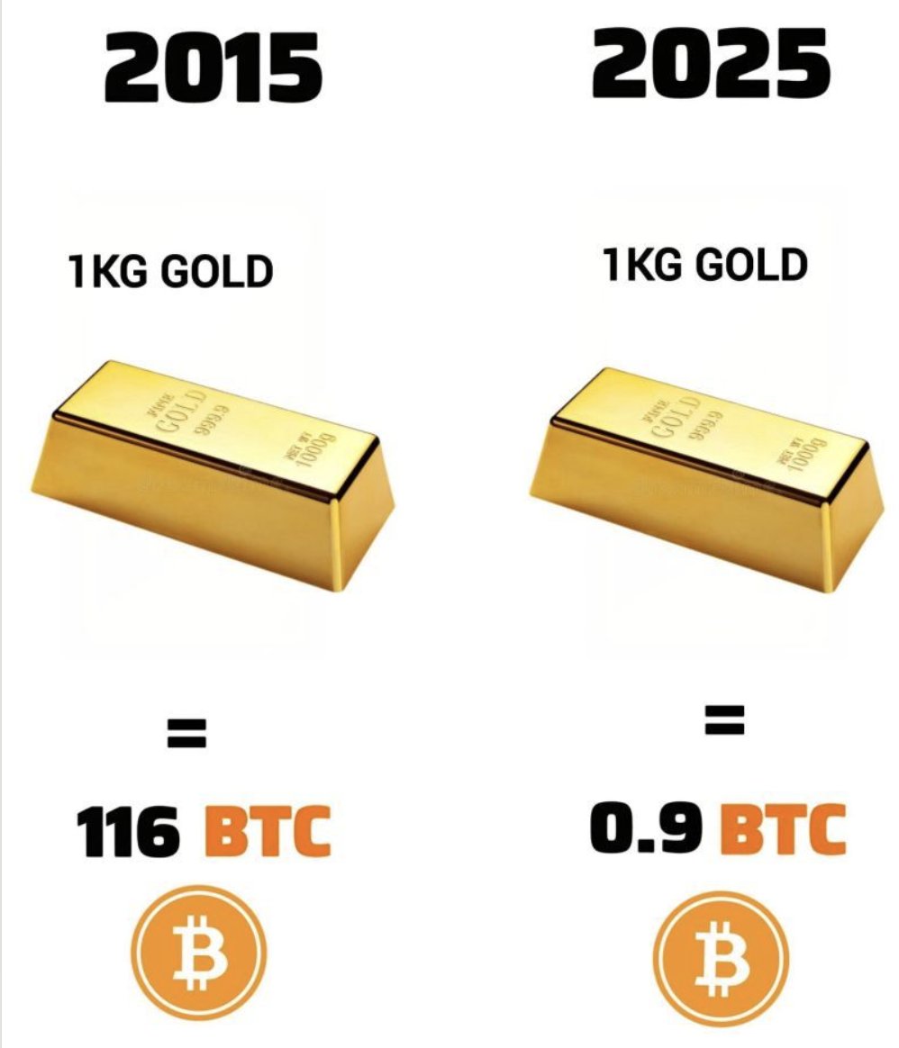 CoachMiranda's tweet photo. What if we put 1USDT beside this...

Know where to invest long term https://t.co/GtdHsvMxsQ