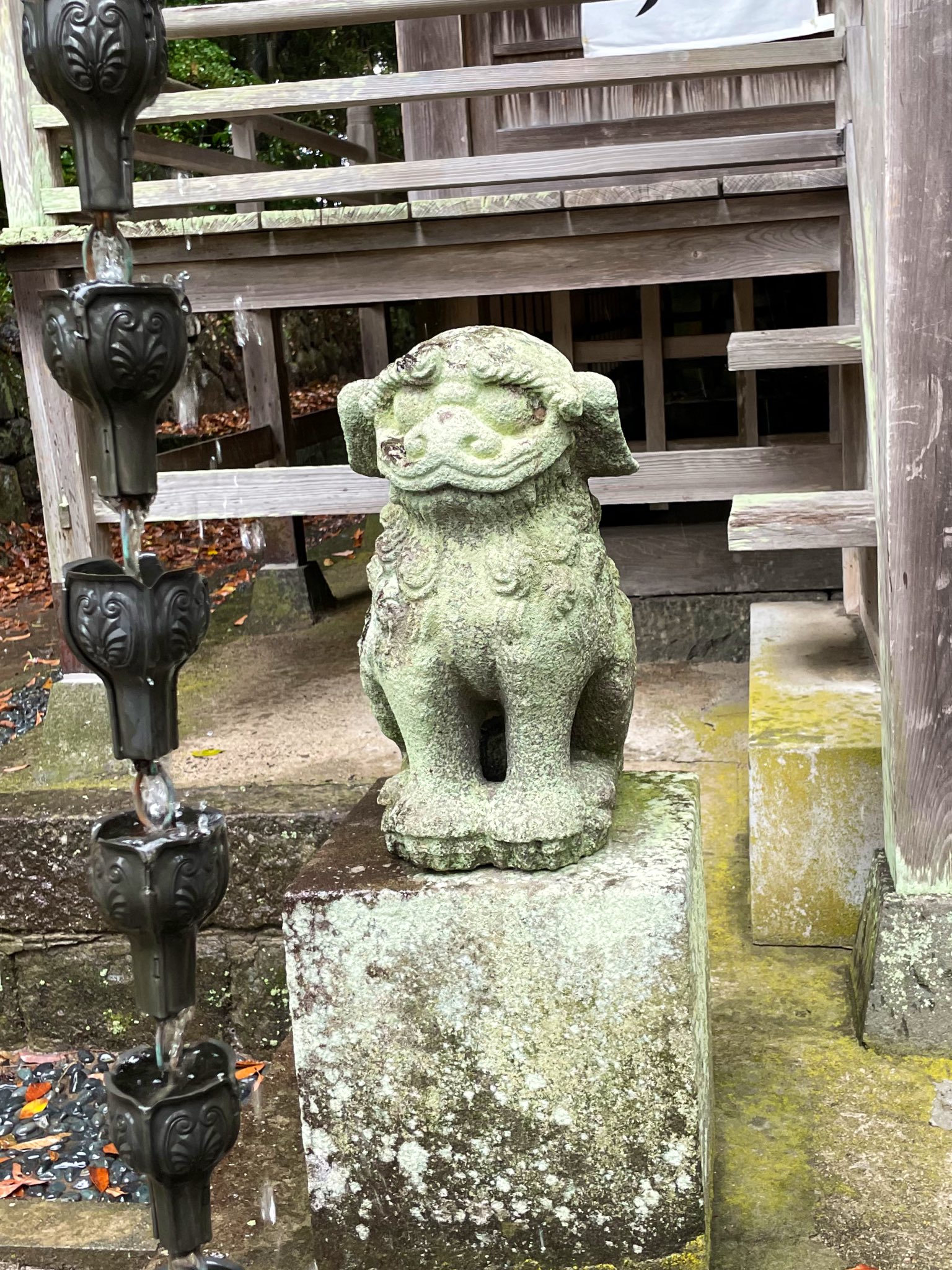 こまいぬいぬ (@komainu_basalt) / X