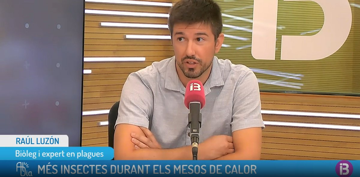 Vectobal tweet media