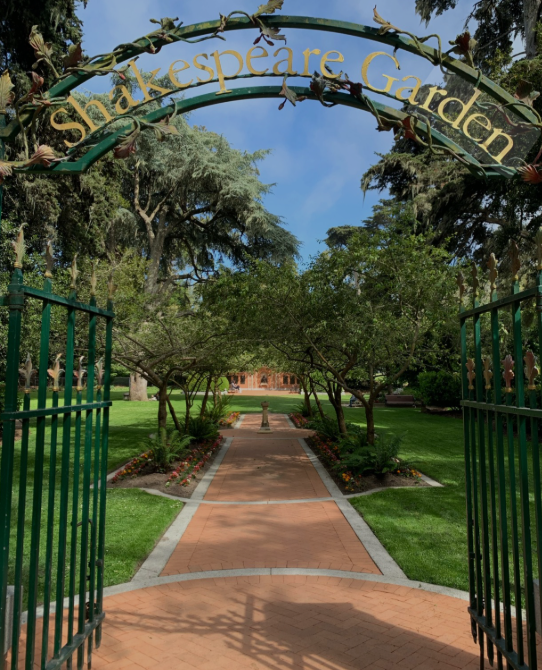 BCardno's tweet photo. #poetry #poem #amwriting  

Shakespeare Garden 

I 
step 
inside 
the 
Shakespeare 
Garden 
in 
San Francisco 
to 
take 
a 
quiet 
moment 
of 
reflection 
to 
pay 
a 
tribute 
to 
the 
famous 
playwright 
William 
Shakespeare, 
by
immersing
myself 
in 
the 
symbolism 
of 
the https://t.co/zOk94TSIYj