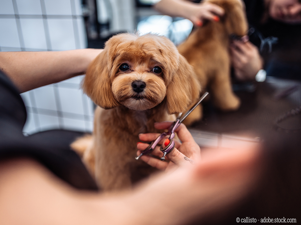 IHK Potsdam tweet media