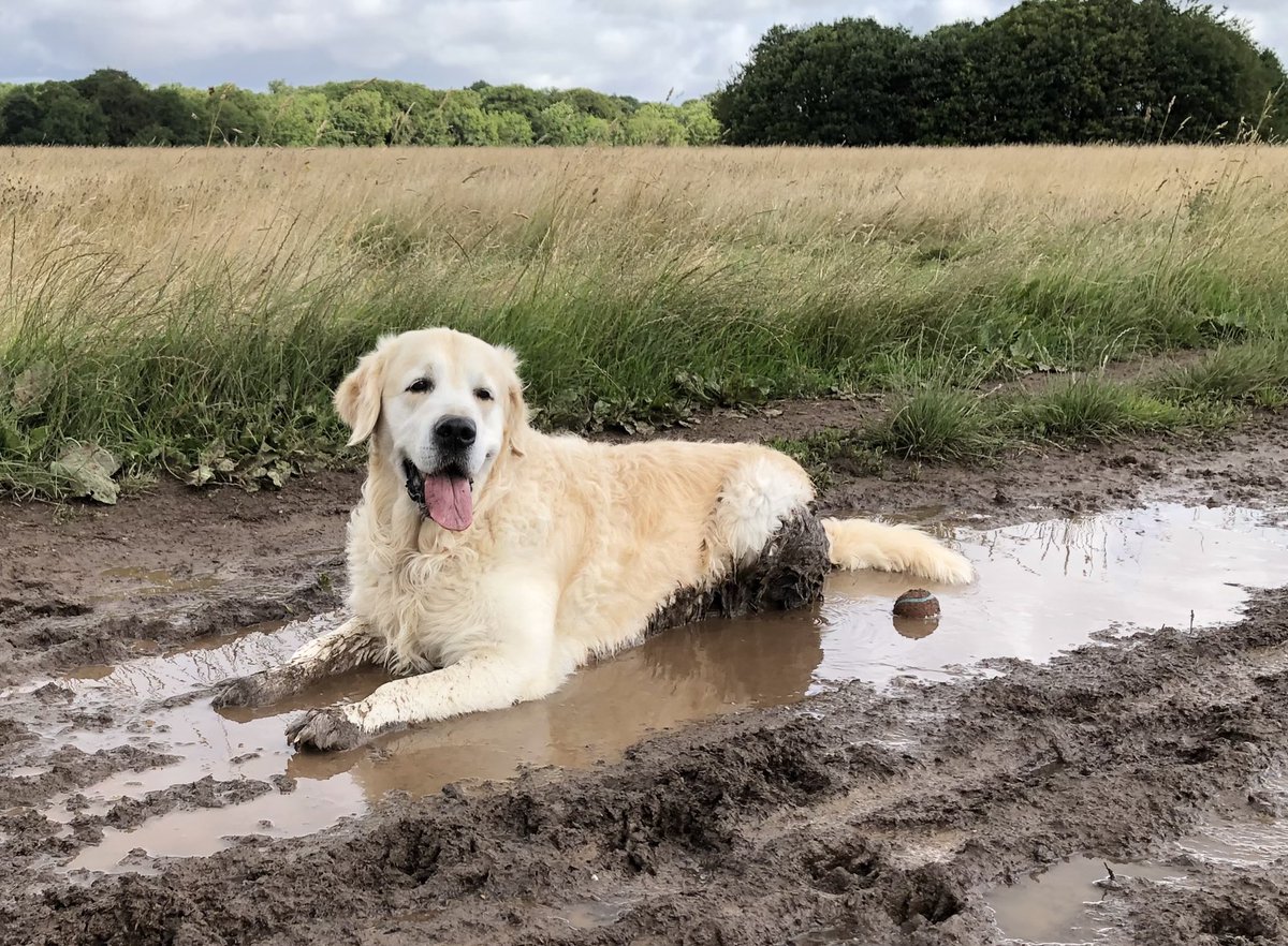 #ThrowbackThursday Here’s Finn doing what he loved!