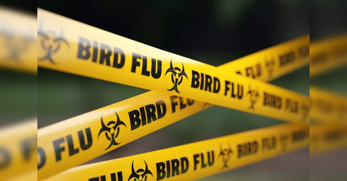 ETHealthWorld's tweet photo. Indian Institute of Science study warns of rising human infection risk from evolving bird flu strain
@iiscbangalore | #bird_flu | #human_infection | #bird_flu | #H5N1 | #H5
Read more:
https://t.co/zDy2Eq4PIc https://t.co/ZHfNQmRlz5
