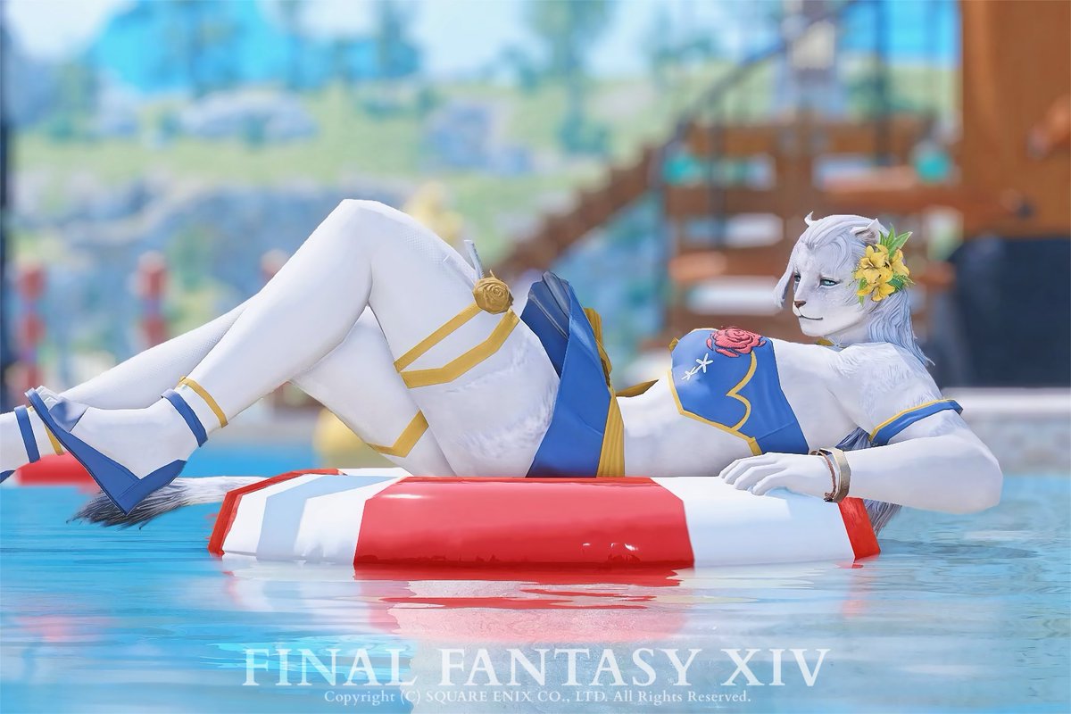 Tochi (@tcmr_to) on Twitter photo 