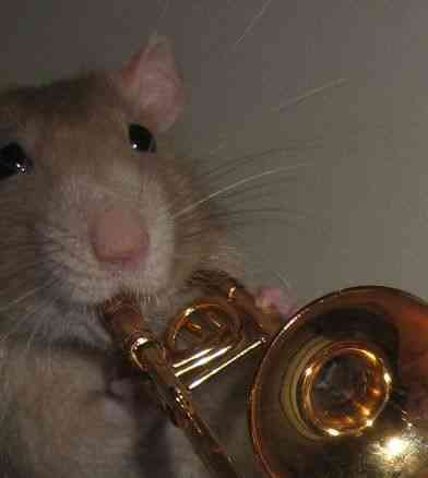 Primrose - A Woodland Critter RPG tweet media