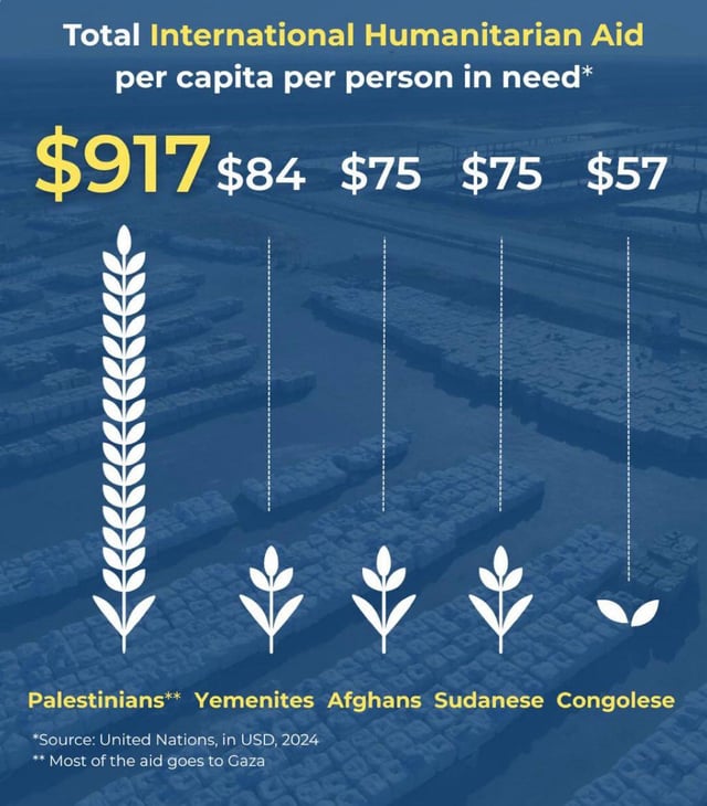 dovsim's tweet image. Children die every day across the world, but when Hamas steals aid from Palestinian children, their suffering fills every screen and Israel gets the blame. Exactly what Hamas wants. 
Don’t be fooled.