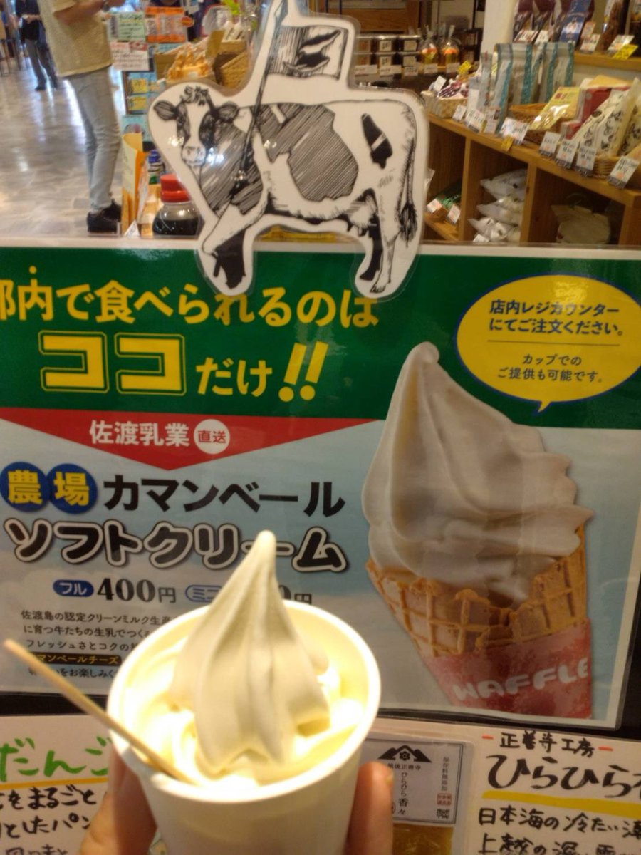 ryotenma13's tweet photo. 池袋のポケセンは長蛇の列で秒で諦めましたｗｗｗ
やすべえのつけ麺食べて交通会館でソフトクリーム食べて
かわいい公式ずんだもんをお迎えしました。
公式でこれってかわいすぎだろ。 https://t.co/3OXJ1kVQn2