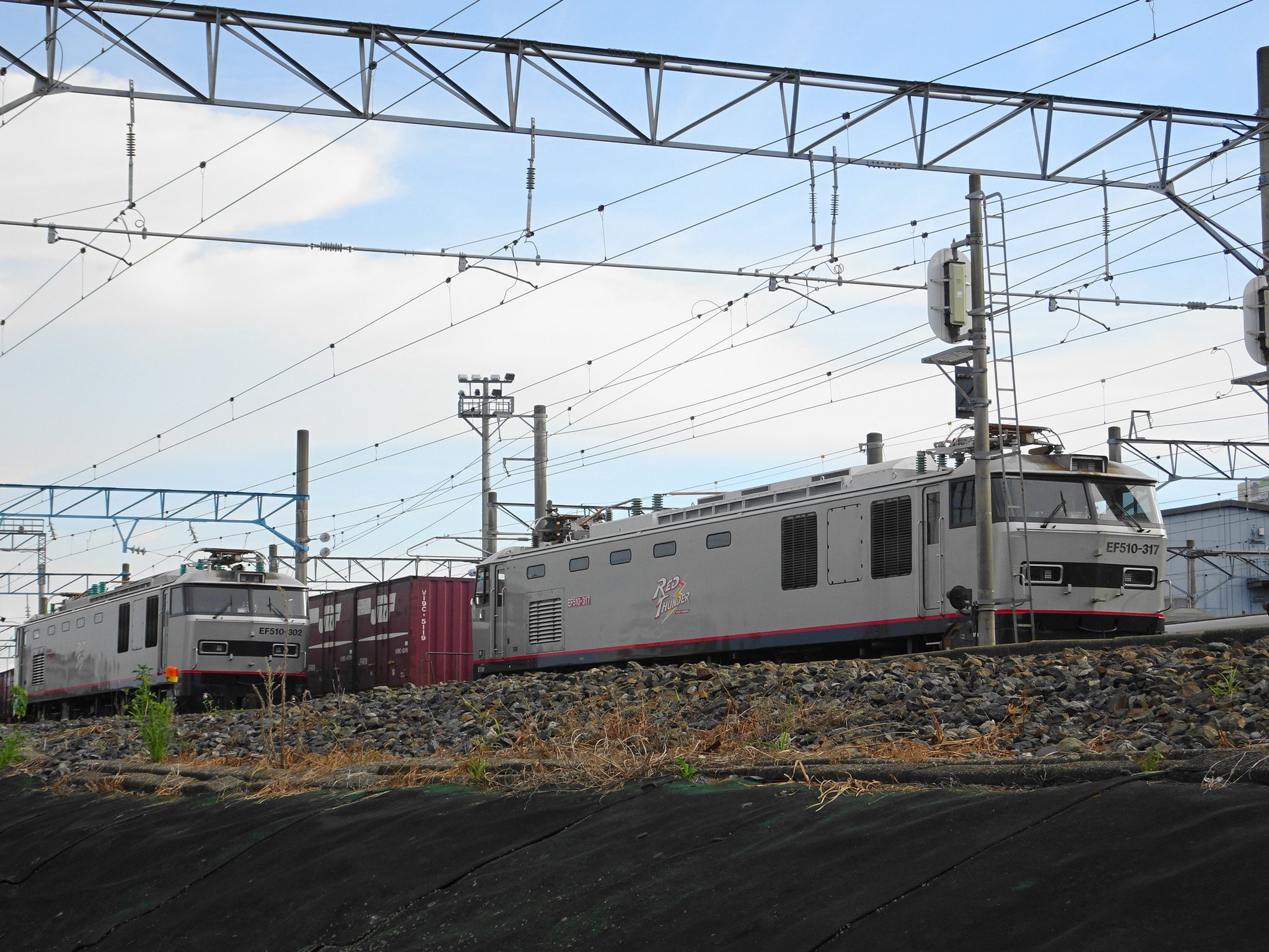 激レア　鹿児島鉄道発行　行幸啓奉送迎入場券の見本品 ゆたか1955 on X: 