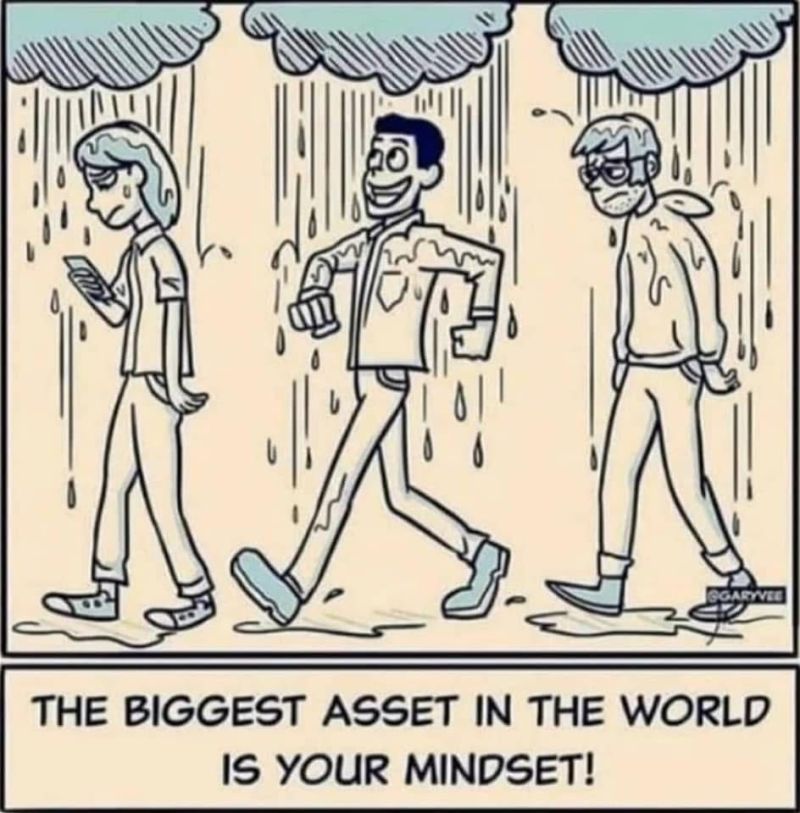 Srdan_KO's tweet photo. Interesting approach to life! https://t.co/JEW2tGF9yq