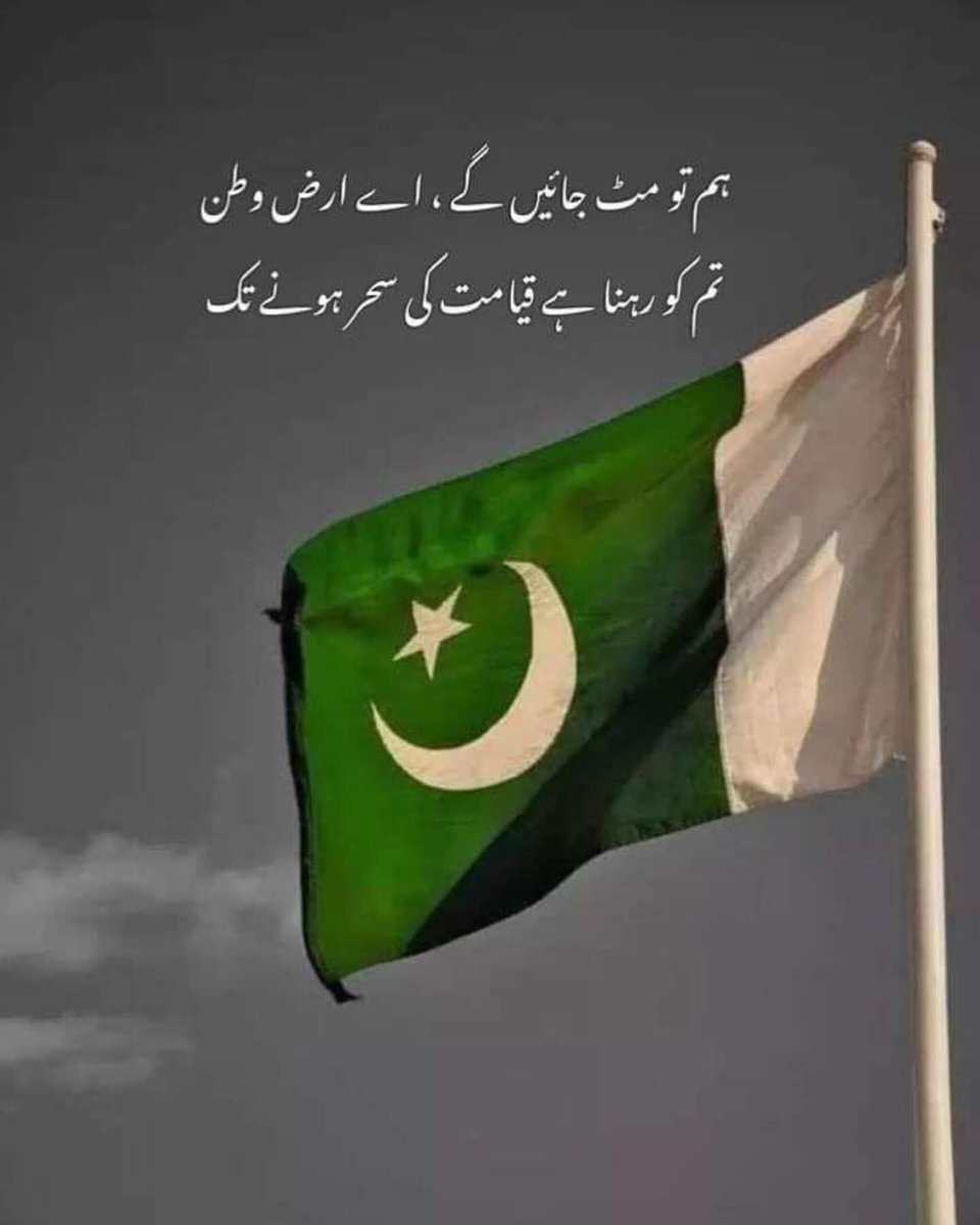 Farahadil14's tweet photo. پاکستان ہمیشہ زندہ باد❤❤ https://t.co/ruYdCTlVAl