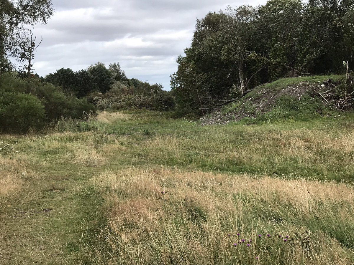 coal_legacies's tweet photo. Sad and surprised to see the last surviving piece of Kinneil Colliery (1890-1983) infrastructure gone picked up nothing in the press or social media #Boness #Coal #MiningHeritage https://t.co/jdSF60xsNd