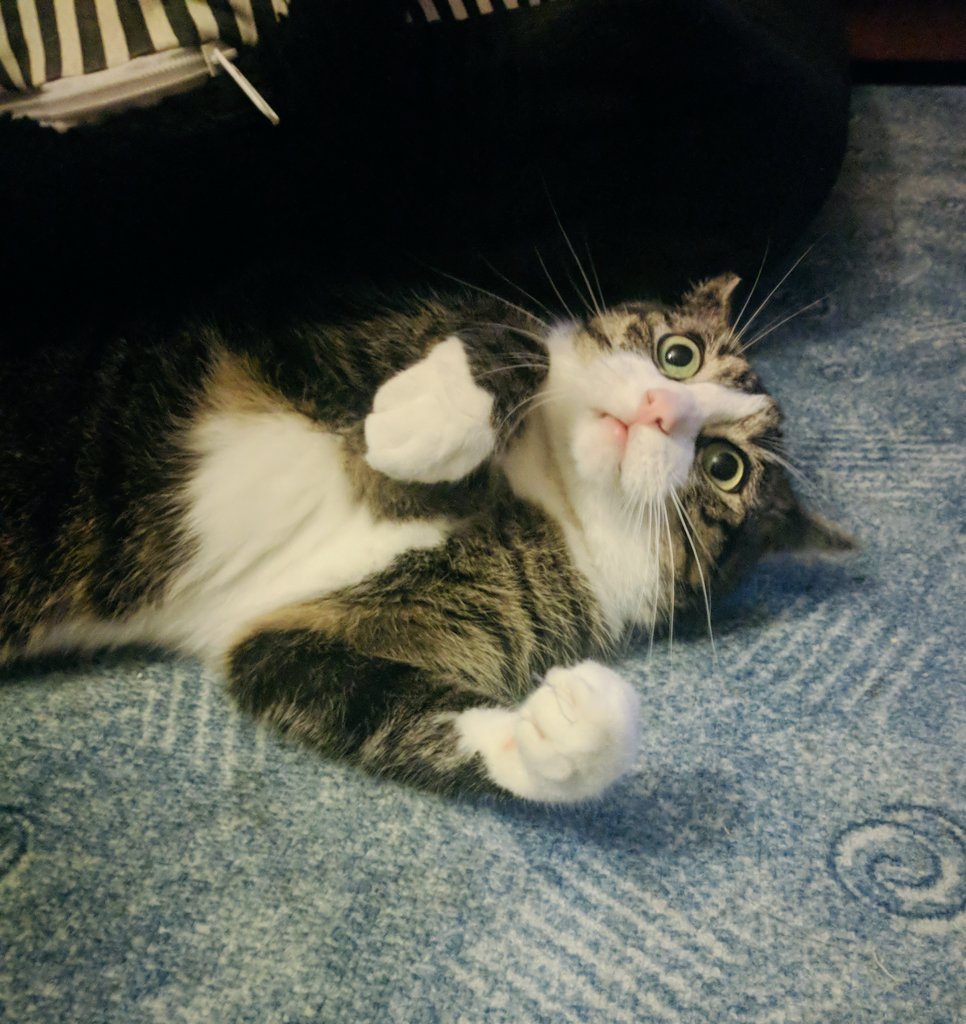 FairEnough tweet media