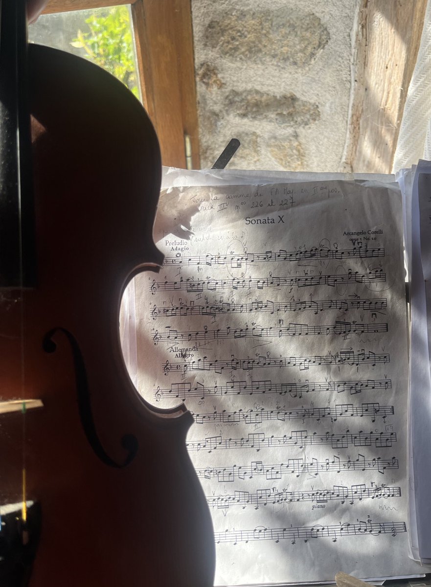 BirdingBrussels's tweet image. 🎻🎶 Un été avec Arcangelo Corelli 😊
#40hours #PracticePracticePractice