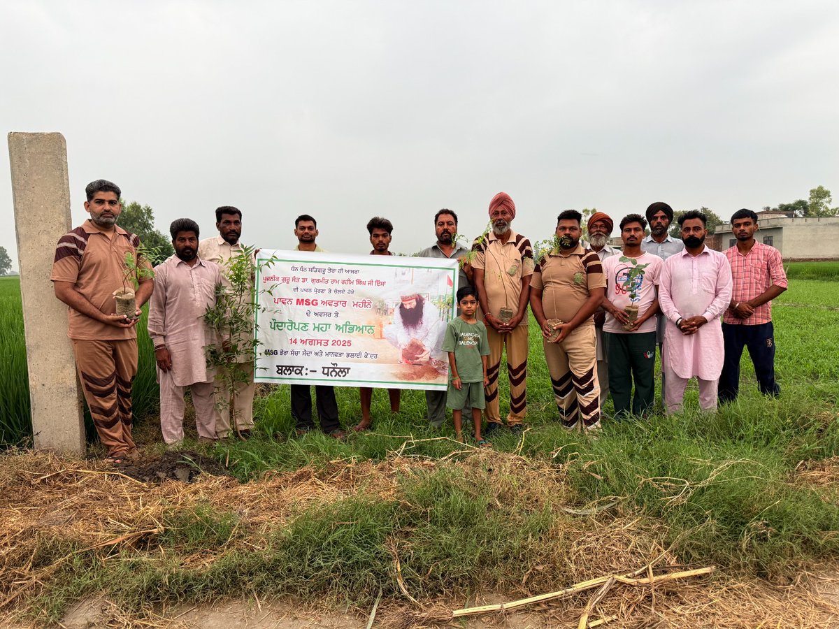 insanmk's tweet photo. Welcoming MSG Bhandara with tree plantation. 
Glimpses of Global Mega Tree Plantation Drive by volunteers. 
#MyGiftToMSG
#GoGreenChallenge
#SaveEnvironment https://t.co/0fiam2rhIo