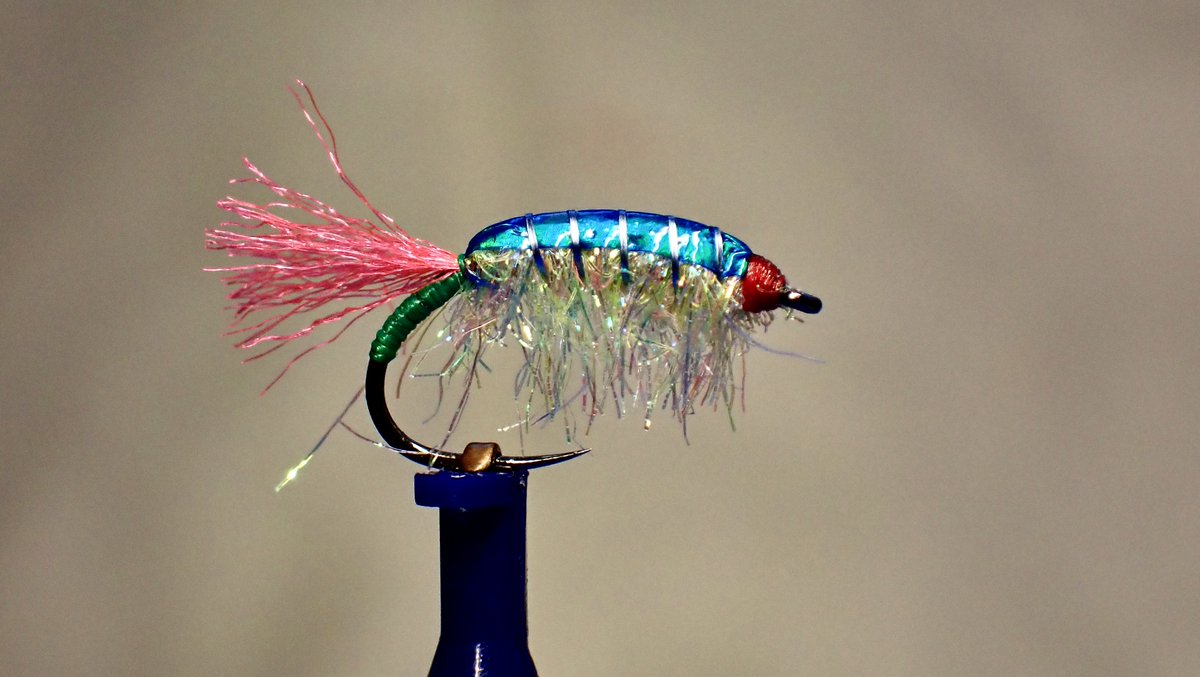 ScottieFlyTying's tweet photo. Blue Magic Pearl MC sand shrimp for mullet

Hook: grip 14428BL #12
Tail: Glo-Brite no 4
Tag: Glo-Brite no.13
Thread: sheer 14/0 Red
Back: Sybai, Magic pearl strip Blue
Rib: Light Blue Sybai Flat Wire
Body: Sybai Lite Brite dubbing multicolour

#mulletonthefly #flytying https://t.co/Jaos7gaFKg