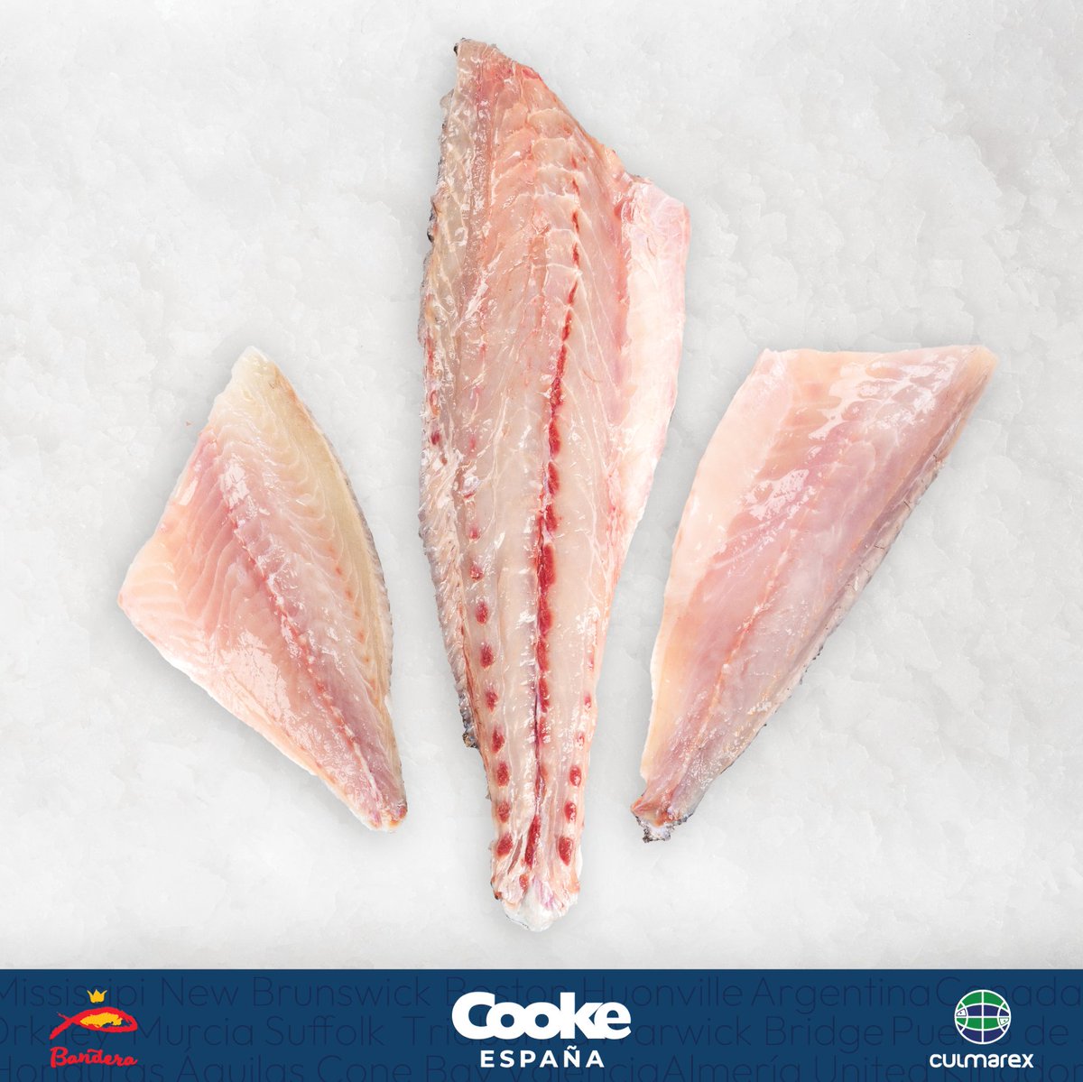 🌊🐟 En Cooke, el pescado crudo llega a tu mesa tal como viene del mar:

Porque cuando cuidas cada etapa, el resultado habla por sí solo.
𝗥𝗲𝗰𝗶𝗲́𝗻 𝘀𝗮𝗹𝗶𝗱𝗼 𝗱𝗲𝗹 𝗺𝗮𝗿. 𝗗𝗶𝗿𝗲𝗰𝘁𝗼 𝗮 𝘁𝗶.
.
#CookeEspaña #DelMarATuMesa