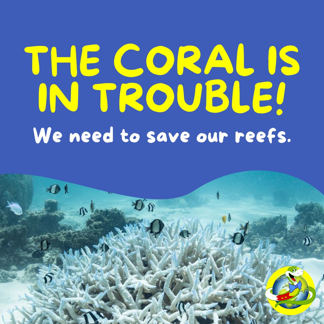 Ningaloo Reef - one of Earth’s coolest coral spots, is turning white because the ocean’s too warm. Scientists call it bleaching, and it’s caused by climate change. People are working on fixes, and you can help too! bbc.co.uk/news/articles/… #coralbleaching #climatechange #coralreef