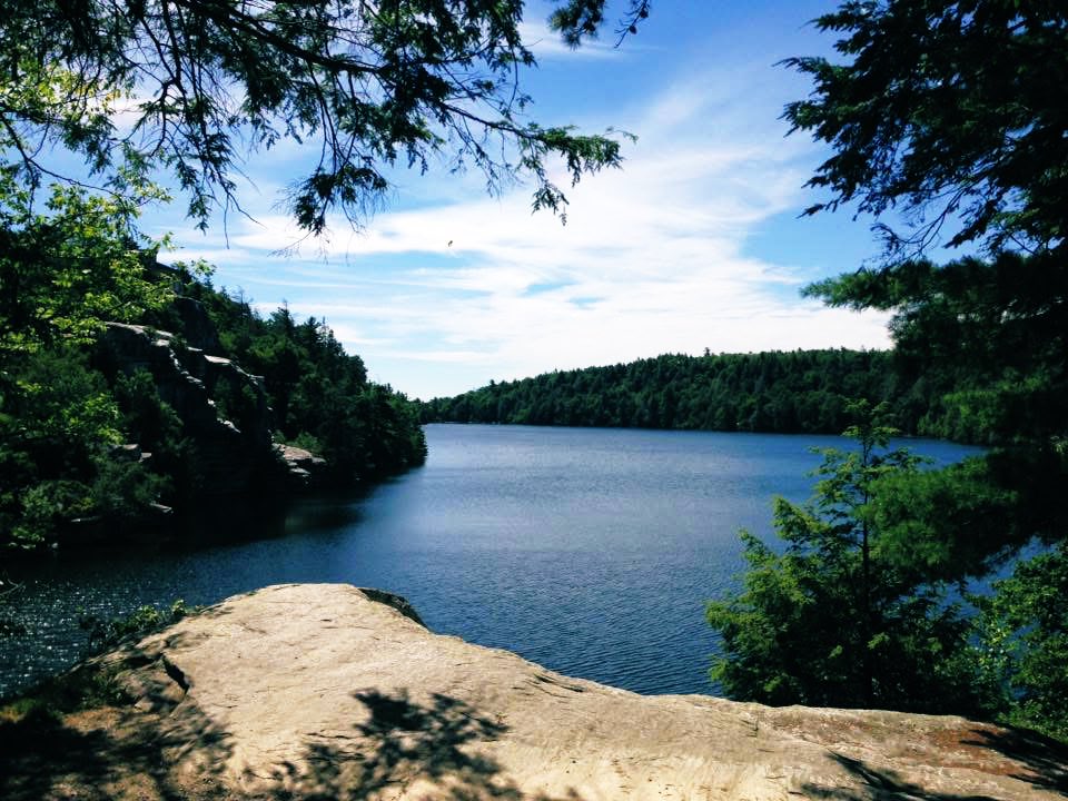 Then I want to become a lake in front of that tree 😭 ลูกสาวกับคุณเคนทำนี่ร้องไห้เป็นหมา