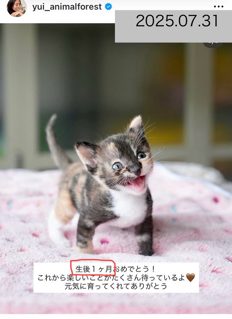 手記ありがとう、赤ちゃん 一60歳初出産の物語一 revemarche_tt03