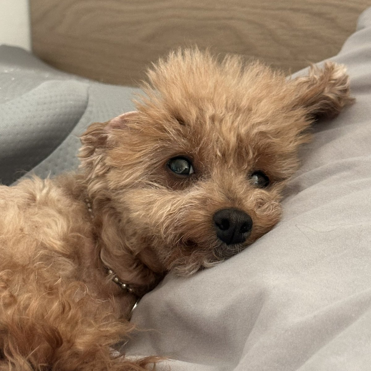 이게 얼마만에 맘 놓고 쉬는거야🥹