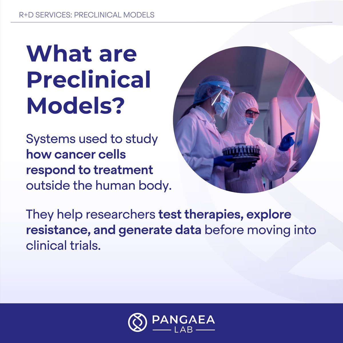 Pangaea Lab tweet media
