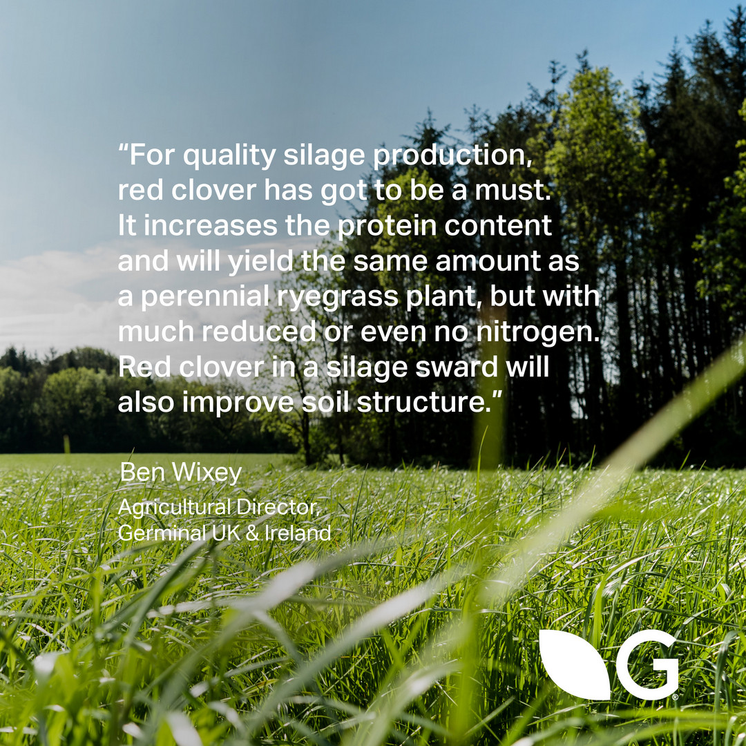 High-protein homegrown feed…

Red clover silage is a superb homegrown feed for dairy and meat production. On average, there’s 3% more protein than grass silage. Plus, it’s much more sustainable as red clover reduces a farmer’s need for nitrogen fertiliser.

#foodindustry #dairy