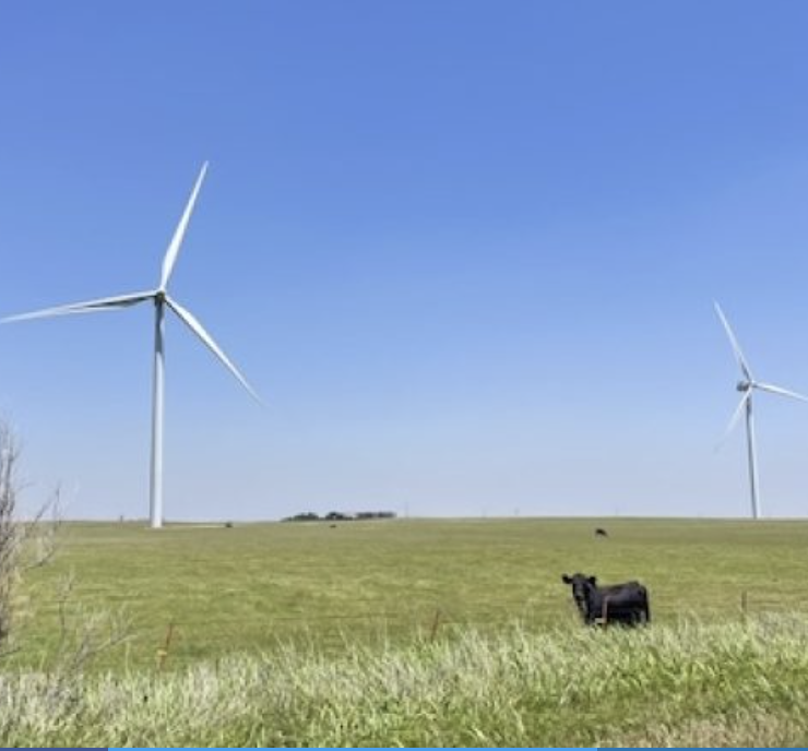 Weather Guard Lightning Tech tweet media