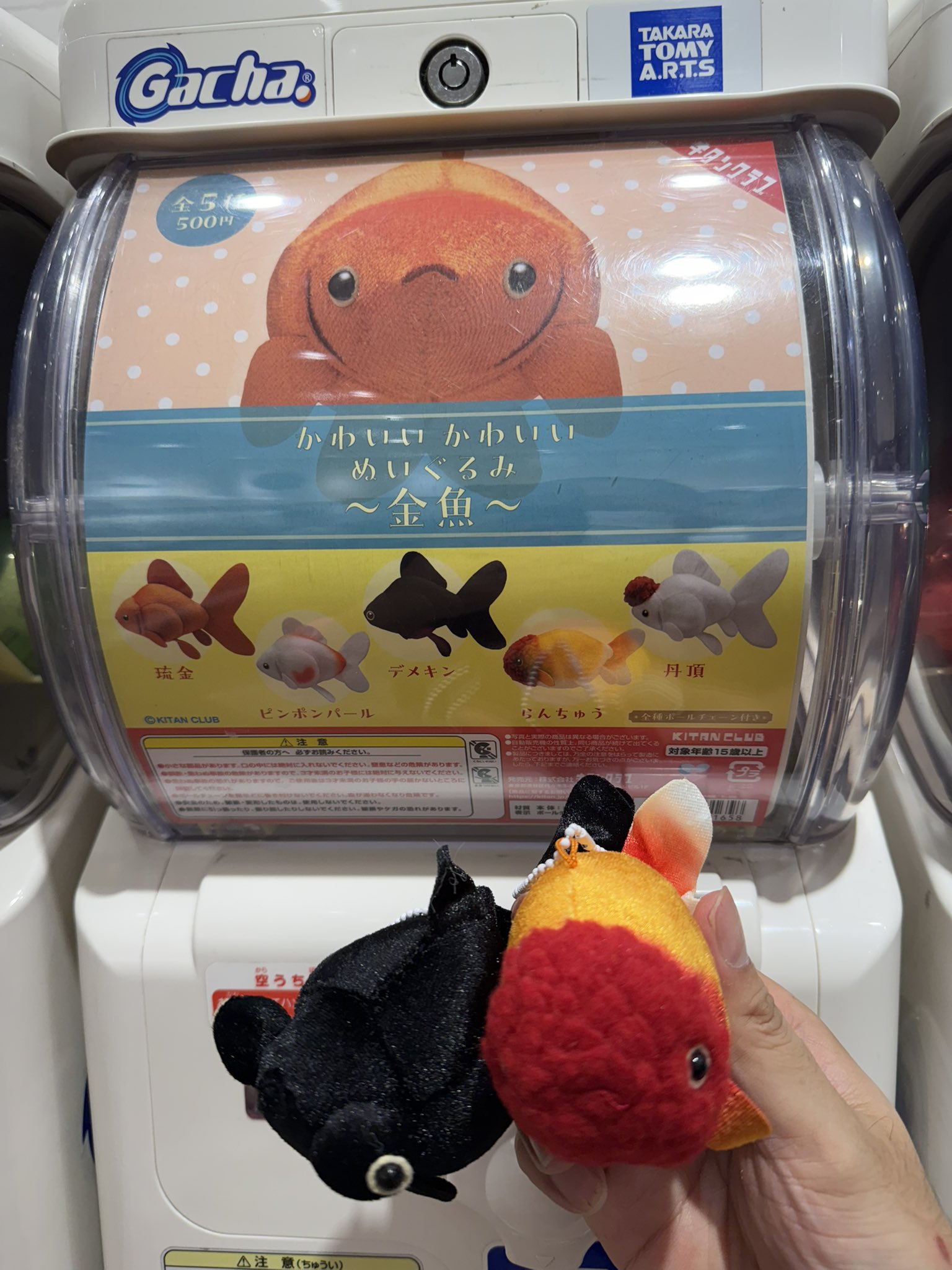 キョーリン ぬいぐるみ らんちゅう リアルな金魚のぬいぐるみ | 生物園オンラインショップ