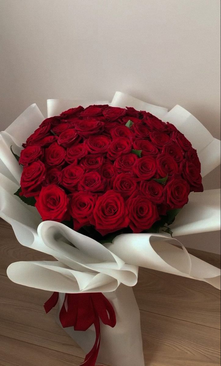 Velvity Rose (@velvityrose) on Twitter photo 