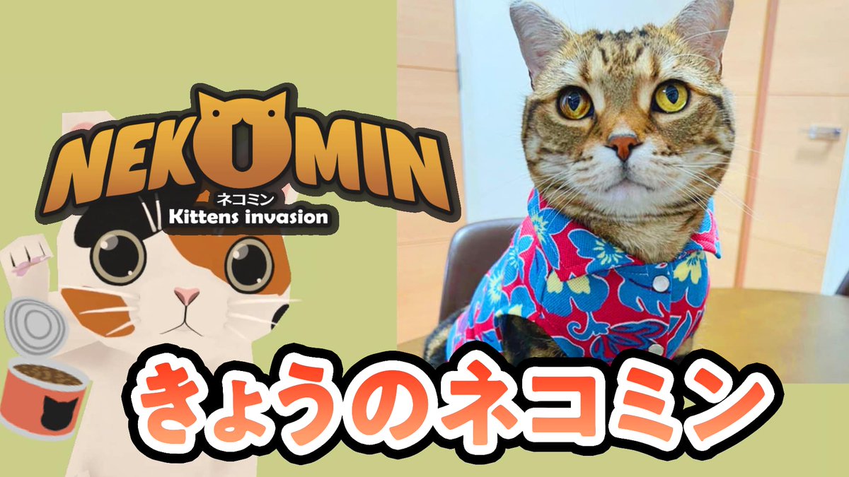 ネコミン-NEKOMIN- (@Nekomin_jet) / Posts / X