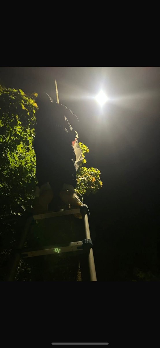 Sutton1Mr's tweet photo. Flags are being put back up around Epping. Well done fellas. https://t.co/7nLYxdn86r