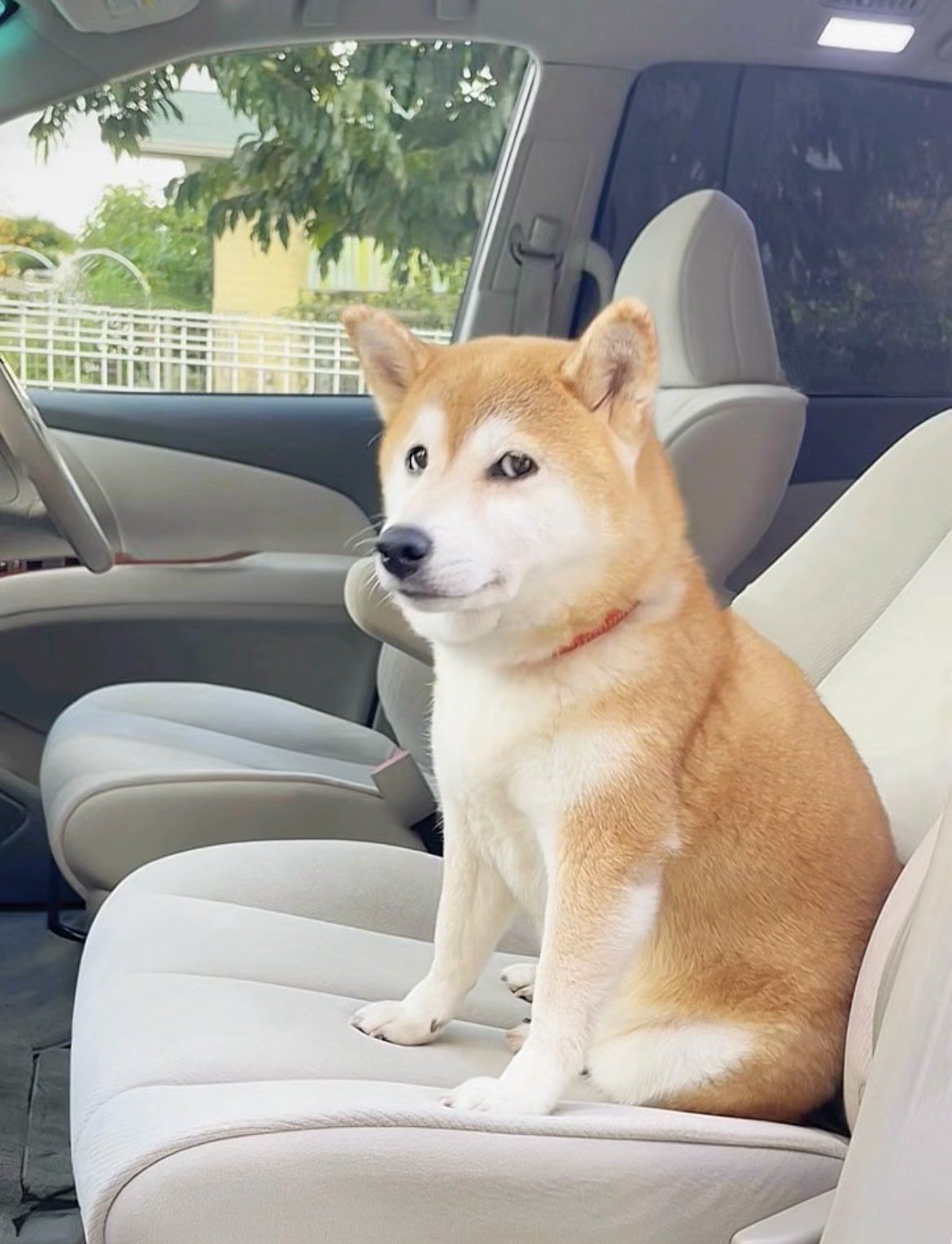 メル子さんページです！ Finally back! 33-year-old Ya◯za Benz! - YouTube