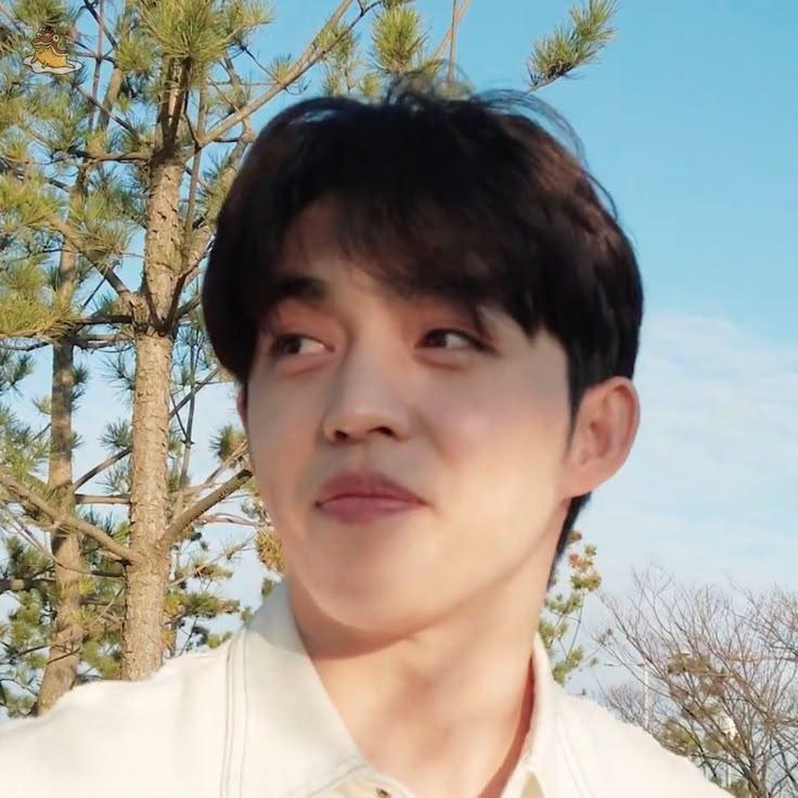 SOC-IE 💛 ˚☽˚.⋆ tweet media