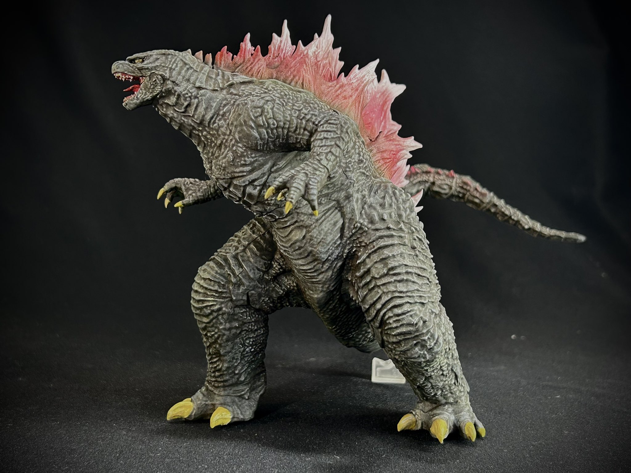 豊似石、ゴジラ、山型 豊似石、ゴジラ、山型