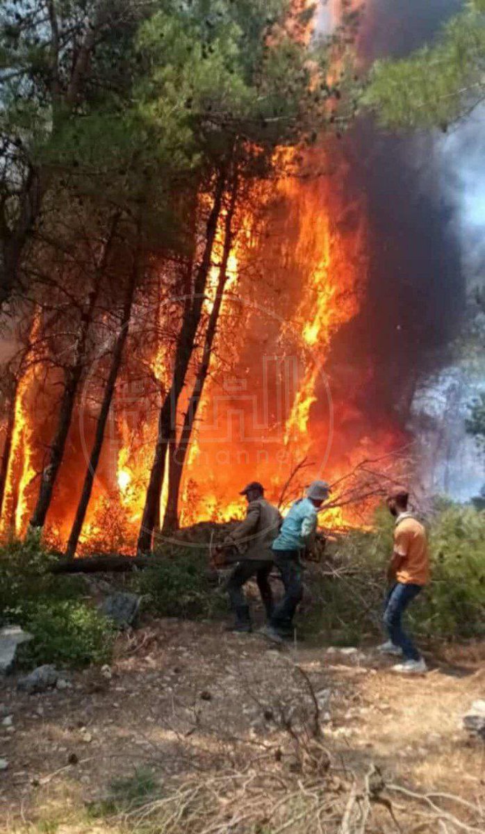 الأرض تورَّث بالدم قبل الورق، ومن وُلد عليها لا يُقتلع منها…
الأرض لأهلها، والغرباء عابرون.
#الساحل_السوري