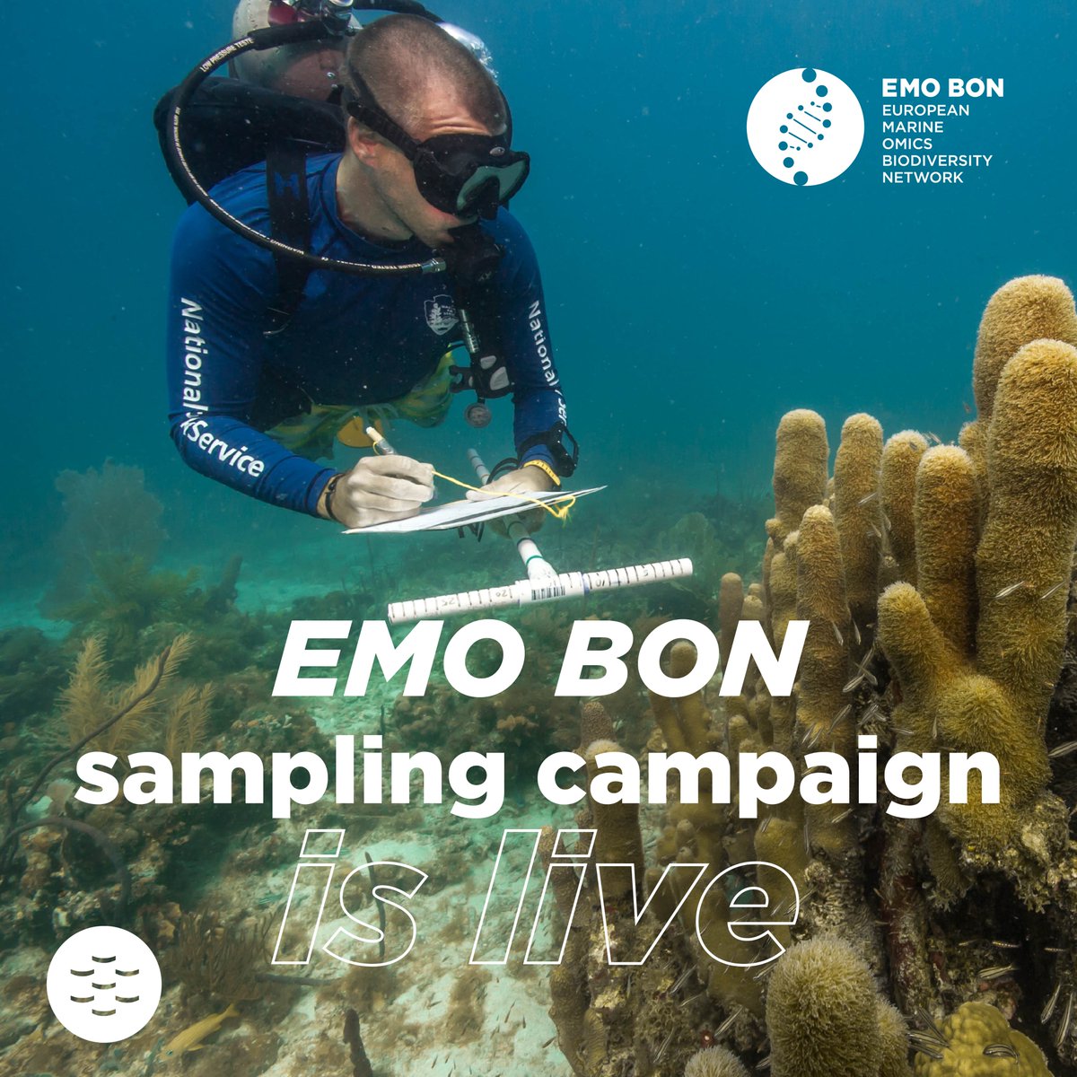 EMBRC (European Marine Biological Resource Centre) tweet media