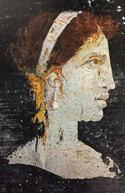 ralphyellis's tweet photo. *** Ramesses and Cleopatra were Ginger Haired ***

There are many claims swirling around the internet, that everyone in history was a black African, from the pharaohs of Egypt to the Biblical disciples. These claims are, of course, completely specious. History and science demonstrate the opposite - that many members of these ancient royal families were actually pale and ginger.

Ramesses.

For instance, the mummy of Ramesses the Great was taken to Paris for preservation, and Prof Pierre Ceccaldi of the Paris Forensic Laboratory determined he had:  Quote: Hair astonishingly preserved which showed … Ramses II was a ginger haired cymnotriche leucoderma.”  (ie:  pale skinned man with wavy ginger hair.)   See Bulletin de l’Academie de Médecine - Volume 171.  The mummy of Ramesses the Great can be seen to be ginger, in the Cairo Museum. And the forensic examination determined that this was melanin ginger, and not a hair-dye like henna.

Cleopatra.
The same is true of Queen Cleopatra, the half Macedonian queen of Egypt. Modern media, including the BBC, have portrayed Queen Cleopatra as a black lady with black hair.  Yet ancient Rome portrayed her as pale skinned and ginger.  The upper image here comes from Herculanium (Pompeii), and were likely painted within living memory of Cleopatra. The lower image was subject to modern social and political constraints.

It is not surprising that Cleopatra would be ginger.  Many of the Egyptian monarchy were ginger (as we have just seen), and many of the Greek aristocracy had 'golden hair', like Achilles, Menelaus, and Helen. Even Alexander was a rusty red-head.  So who do we believe - the lying Modern Media or the Roman Media?  Is modern society improving or deteriorating?    Images:

a.  Ramesses the Great was ginger.
b.  Forensic report on Ramesses the Great. 
c.  Frescos of Cleopatra from Herculanium. 
d. The BBC Cleopatra.  

Ralph