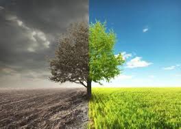 Tarım zehirleri (Pestisitlerin )konusunda ekosistemi tehdit eden endüstriyel tarım ,hayvancılık , doğa dostu ve zehirsiz üretim yöntemlerinin hayata geçirilmesi konusunda daha fazla çaba göstermek lazım..

<a href="/HatipogluHalil/">Dr. Halil HATİPOĞLU</a> <a href="/GaziKutlu/">Gazi Kutlu</a> <a href="/tarimpusulasi/">Tarım Pusulası</a> <a href="/irfandonat/">Tarım Editörü</a> <a href="/gapgundemigzt1/">GAPGündemi</a>