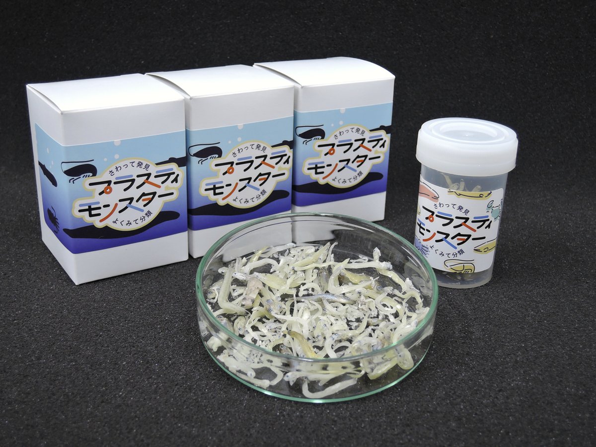 【イベント出展のお知らせ】
今年も「きょうと☆いきものフェス」と「いきもにあ」に出展します🦀
いきもの好きの皆さんとお会いできるのを楽しみにしています！
きょうと☆いきものフェス：9/27-28 (京都府立植物園）
いきもにあ：10/18-19 (京都市勧業館みやこめっせ)
#いきもにあ2025