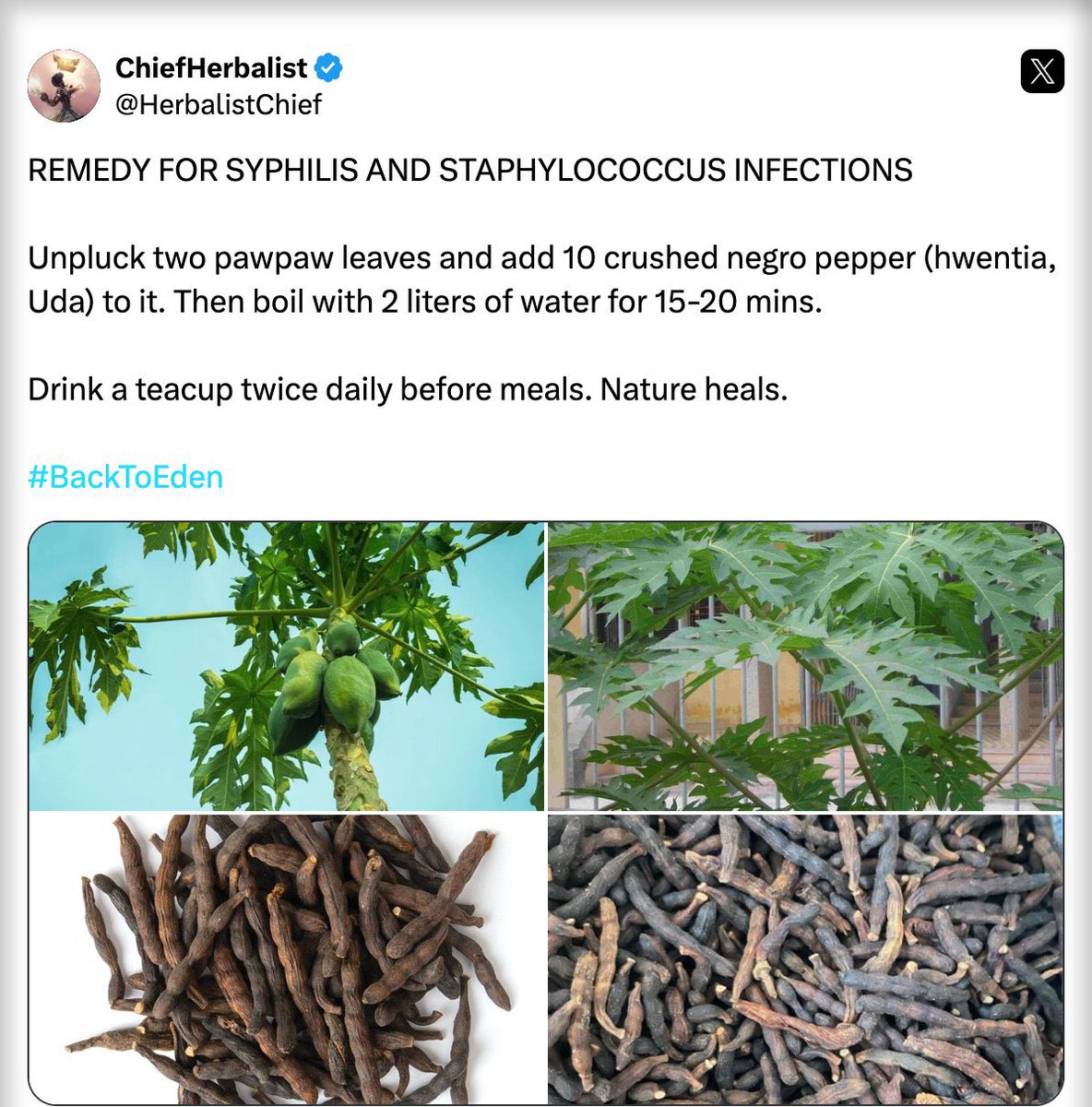 ChiefHerbalist tweet media