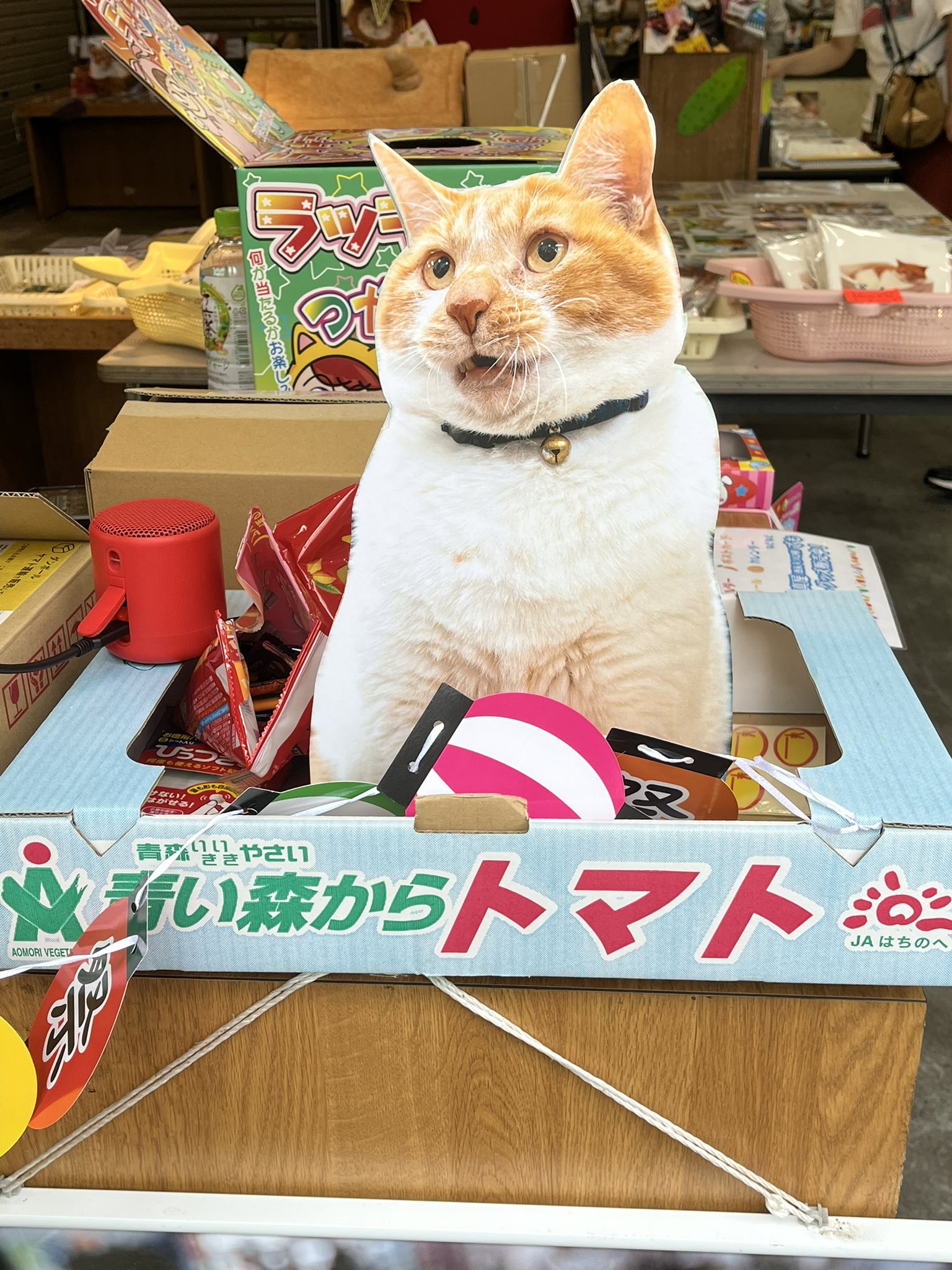 獅子17 ハッピーマイケーキ みかっち summer さん家祭り シール ☆即決☆ 獅子17 ハッピーマイケーキ みかっち summer さん家