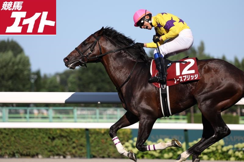 チラ見せデータ ＃札幌記念 □出走頭数 13頭以下だった2020